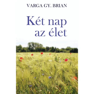 Névtelen terv (72)