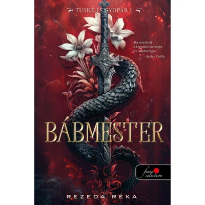 Névtelen terv - 2024-11-27T213507.817